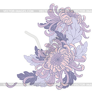 Chrysanthemum flowers and leaves, composition - vector clipart