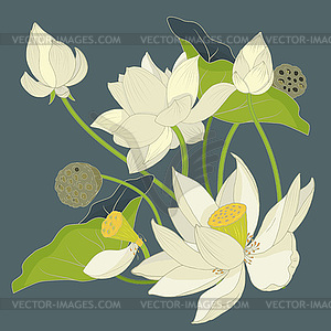 Composition of Lotus flowers and leaves - vector clip art