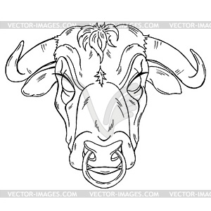 Head an evil bull with a ring in its nose Vector Image