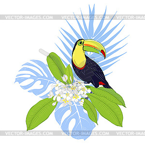 Тукан птица и тропические растения - клипарт в векторном виде