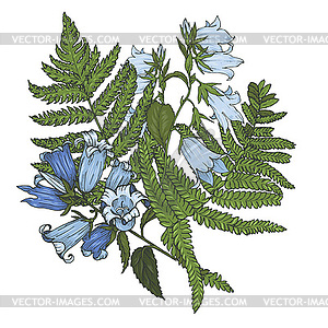 Composition of bell flowers with fern leaves - vector clip art