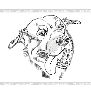 Dog head, portrait of pet, black and white - vector image