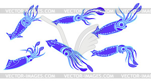 Squid set - vector image