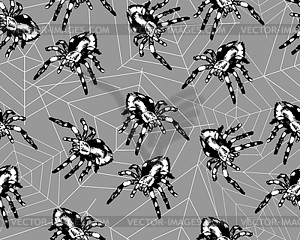 Spiders and webs on grey background, seamless - vector clipart