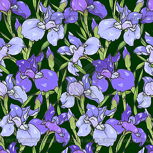 Purple and blue irises, seamless - stock vector clipart