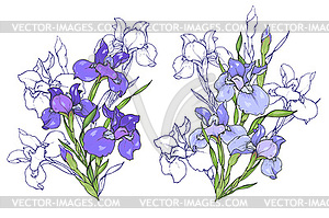 Composition of purple and blue irises - vector clip art