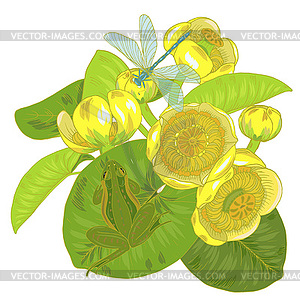 Yellow water Lily flowers and leaves, dragonfly - vector clipart