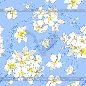 Plumeria flowers on blue background - vector clip art