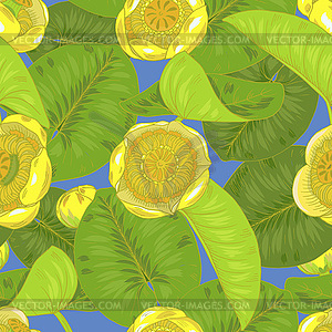 Yellow water Lily flowers and leaves, seamless - vector image