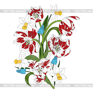 Composition of tulips, daffodils and hyacinths - vector clipart