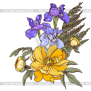 Yellow peonies and blue irises - vector image