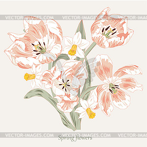 Composition of spring flowers, pink tulips and - color vector clipart