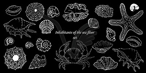 Crab, starfish, sea urchins and shells, sketch - vector clip art