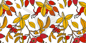 Rosehip - vector clipart