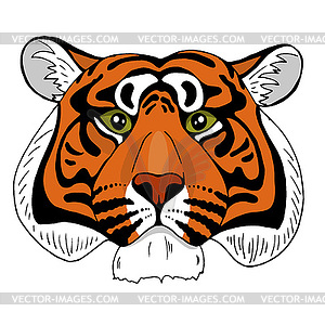 Tiger head on white background - vector clip art