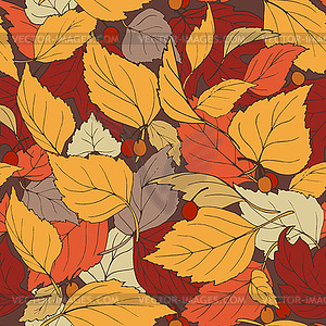 Colorful autumn leaves and red berries - vector image