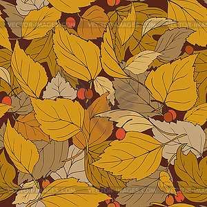 Colorful autumn leaves and red berries - color vector clipart