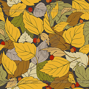 Colorful autumn leaves and red berries - vector clip art