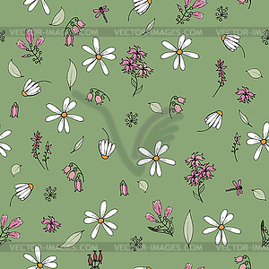 Wildflower daisies and pink flowers - color vector clipart