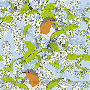 Bird cherry tree and robin in spring - vector clipart