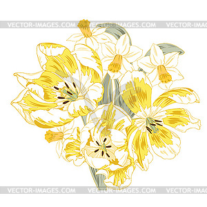 Yellow tulips and daffodils spring flowers - vector image