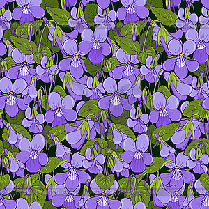 Forest violets spring flowers seamless - vector image