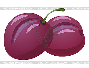 Fresh plums - vector image