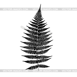 Fern leaf silhouette - vector image