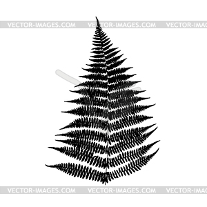 Fern leaf silhouette - vector clipart