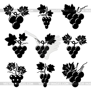 Black and white icons of grapes - white & black vector clipart