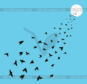 Flock of many birds flying towards sun - vector clipart / vector image