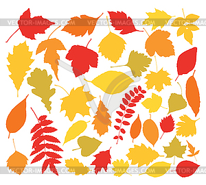 Silhouettes of autumn leaves - vector image