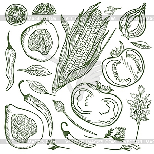 Vegetable Sketch Set - vector clipart