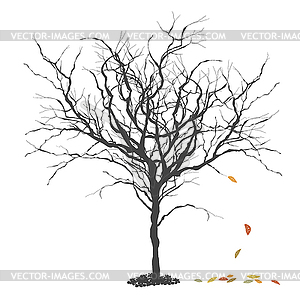Autumn tree. Fall. Season concept - vector image