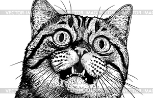 Surprised cat with bie eyes and open mouth, black - vector image