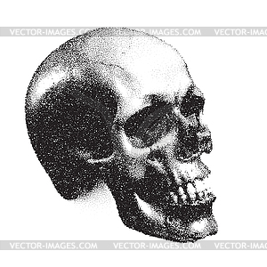 Human skull in dotwork or tattoo style. Mystic - vector image