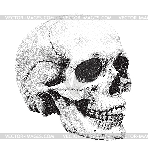 Human skull in dotwork or tattoo style. Mystic - vector clip art