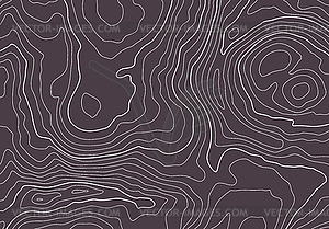 Topographic map background with altitude lines. - vector image