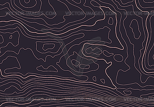 Topographic map background with altitude lines. - vector clipart
