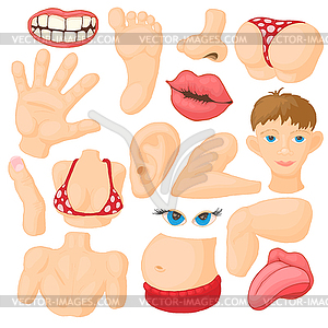 Human body parts icons set - vector clipart