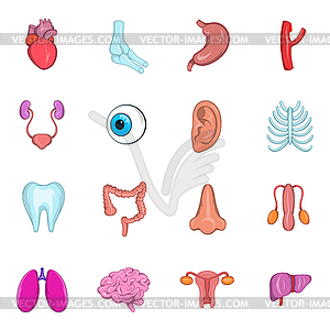 Internal organs icon set - vector clipart