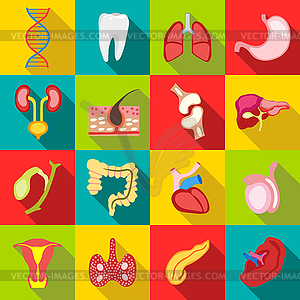 Internal organs icons set, flat style - vector clipart