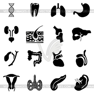 Internal organs icons set, simple style - vector image