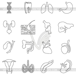 Internal organs icons set, outline style - vector clipart