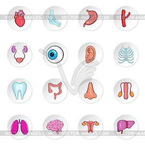 Human organ icons, cartoon style - vector EPS clipart