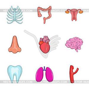 Bodies icons set, cartoon style - vector image