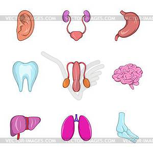 Internal organs icons set, cartoon style - vector clipart