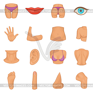 Body parts icons set, cartoon style - color vector clipart