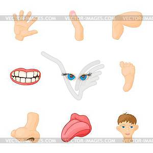 Body parts icons set, cartoon style - vector image