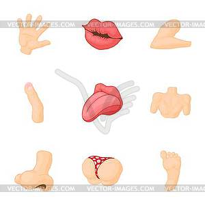 Outer part of body icons set, cartoon style - vector image